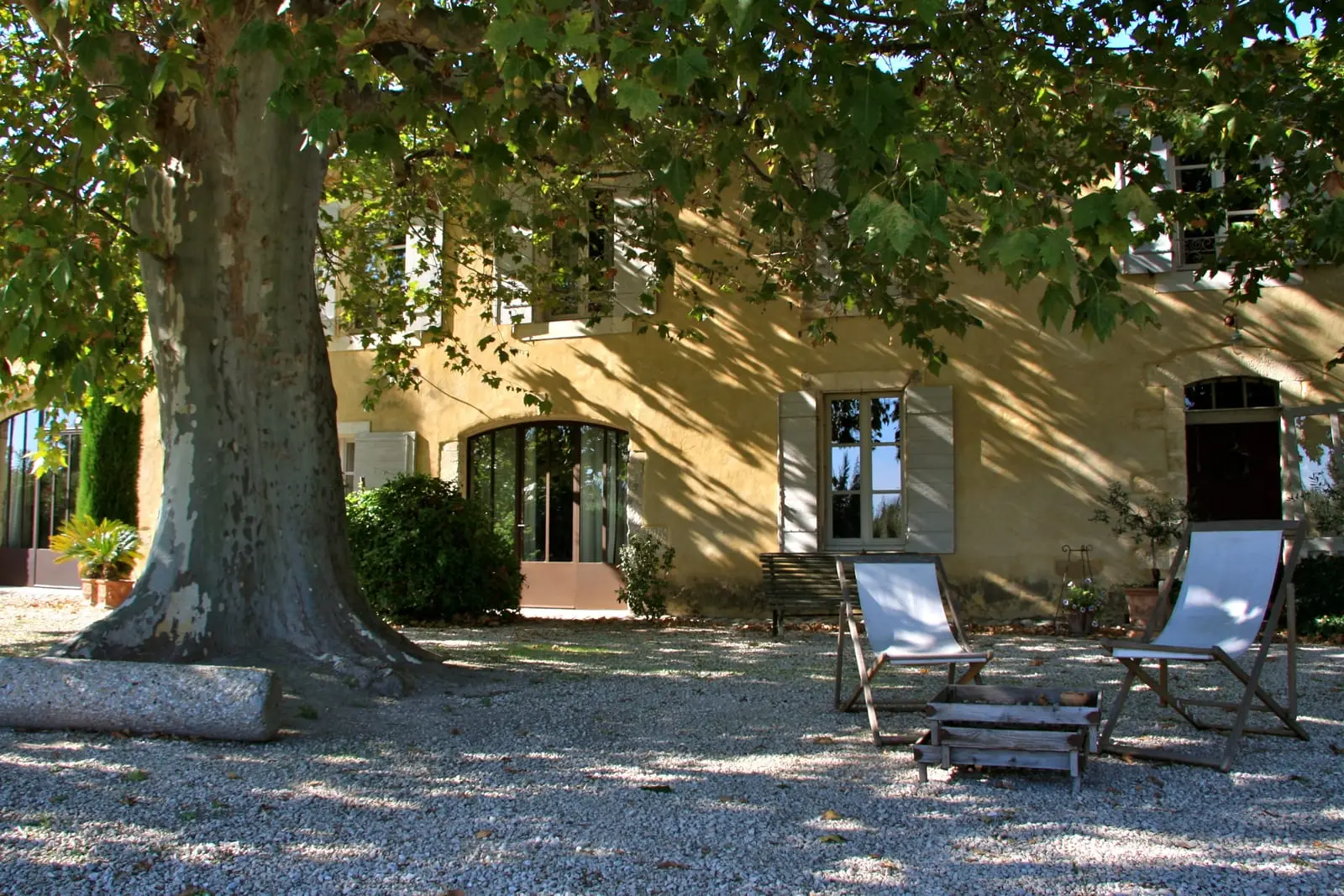 La cour d'une bastide sous un grand platane près d'Aix-en-Provence
