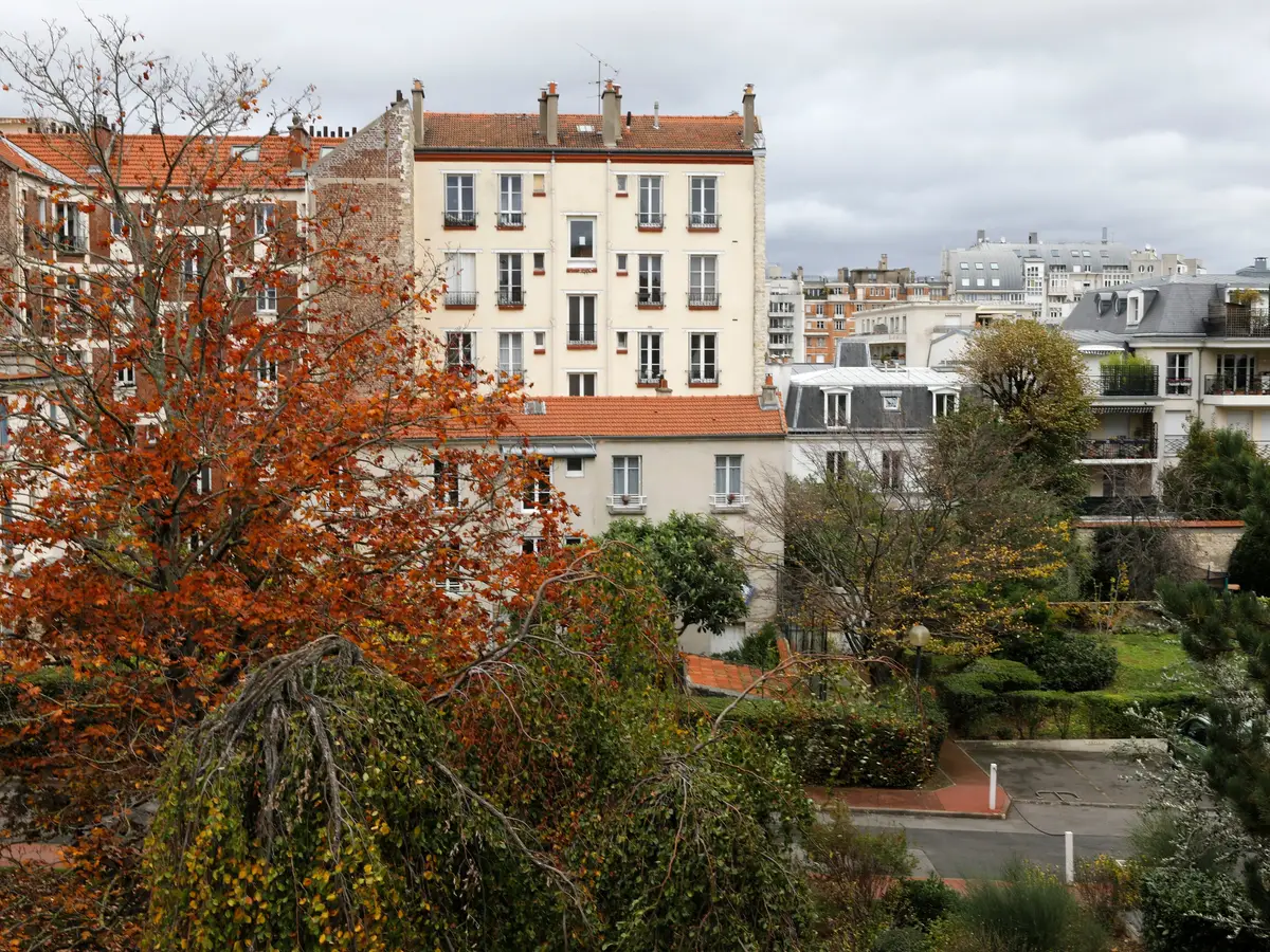 Apartment buildings in Montrouge above the gardens, a tree with autumn leaves in the foreground