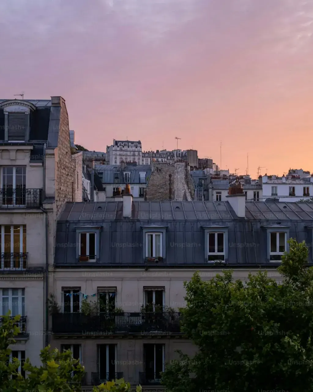 Paris zinc roofs and mansards at sunset