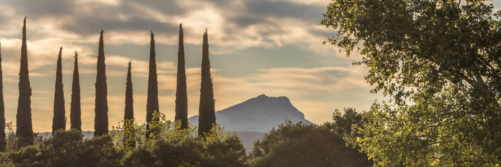 La silhouette de la montagne Sainte-Victoire entre les cyprès, au soleil couchant