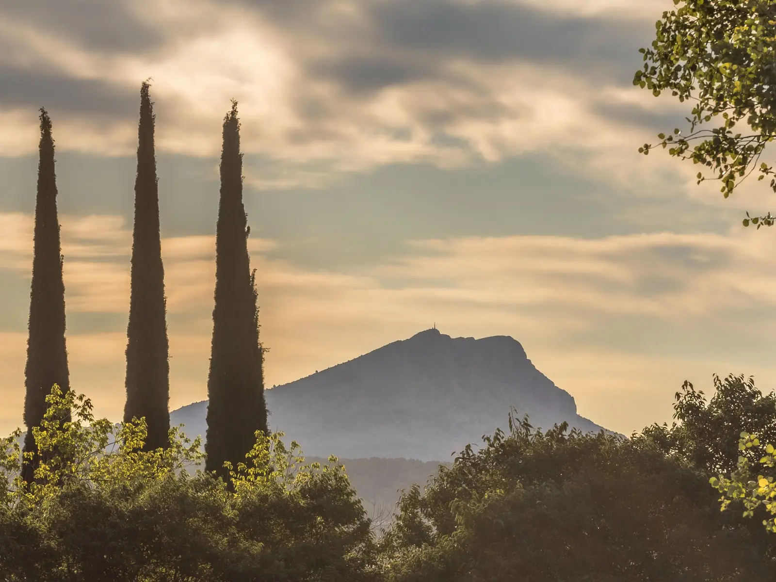 La silhouette de la montagne Sainte-Victoire entre les cyprès, au soleil couchant
