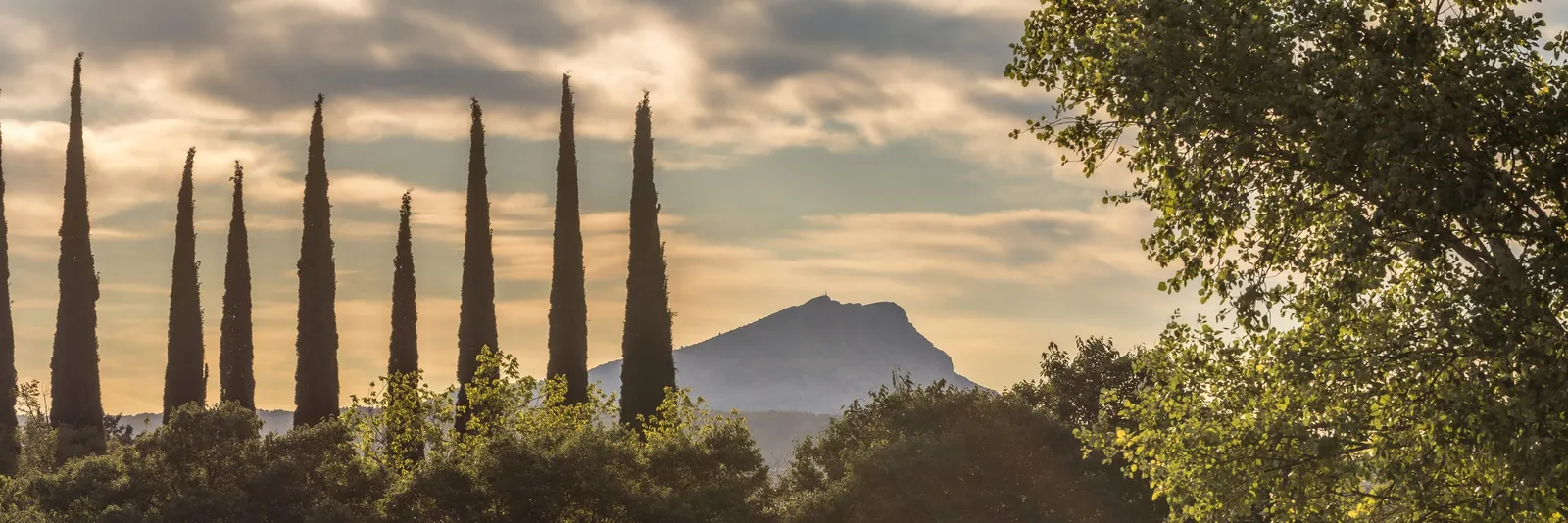 The silhouette of Mont Sainte-Victoire between cypress trees at sunset