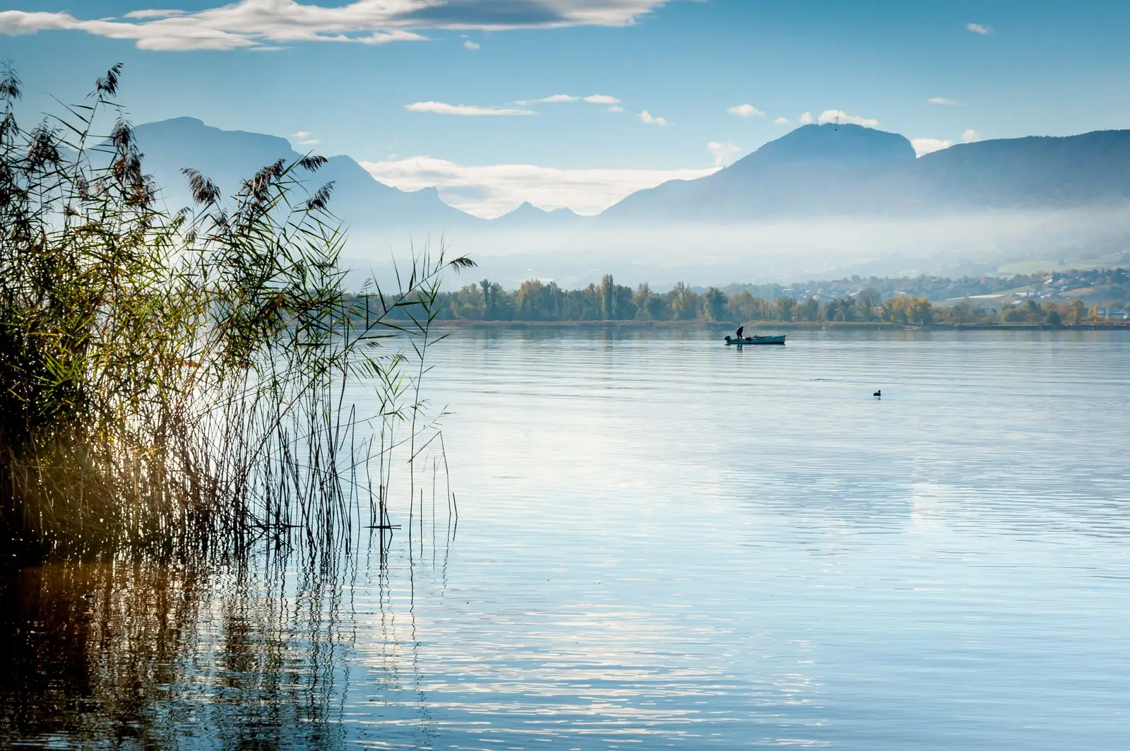 Le lac du Bourget à Aix-les-Bains, roseaux au premier plan, une barque et les montagnes dans la brume