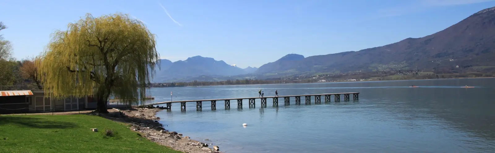 Un ponton et un saule au bord du lac du Bourget, face aux montagnes, à Aix-les-Bains