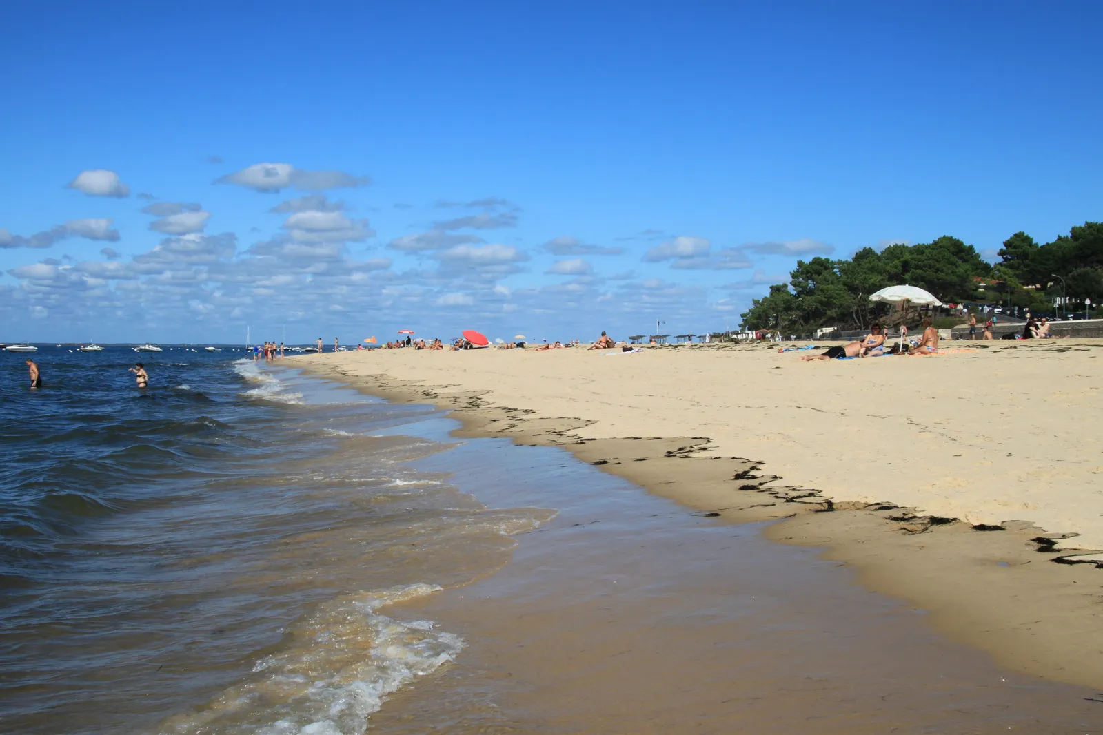 La plage Pereire à Arcachon, le sable blond, les pins et l’eau claire du bassin