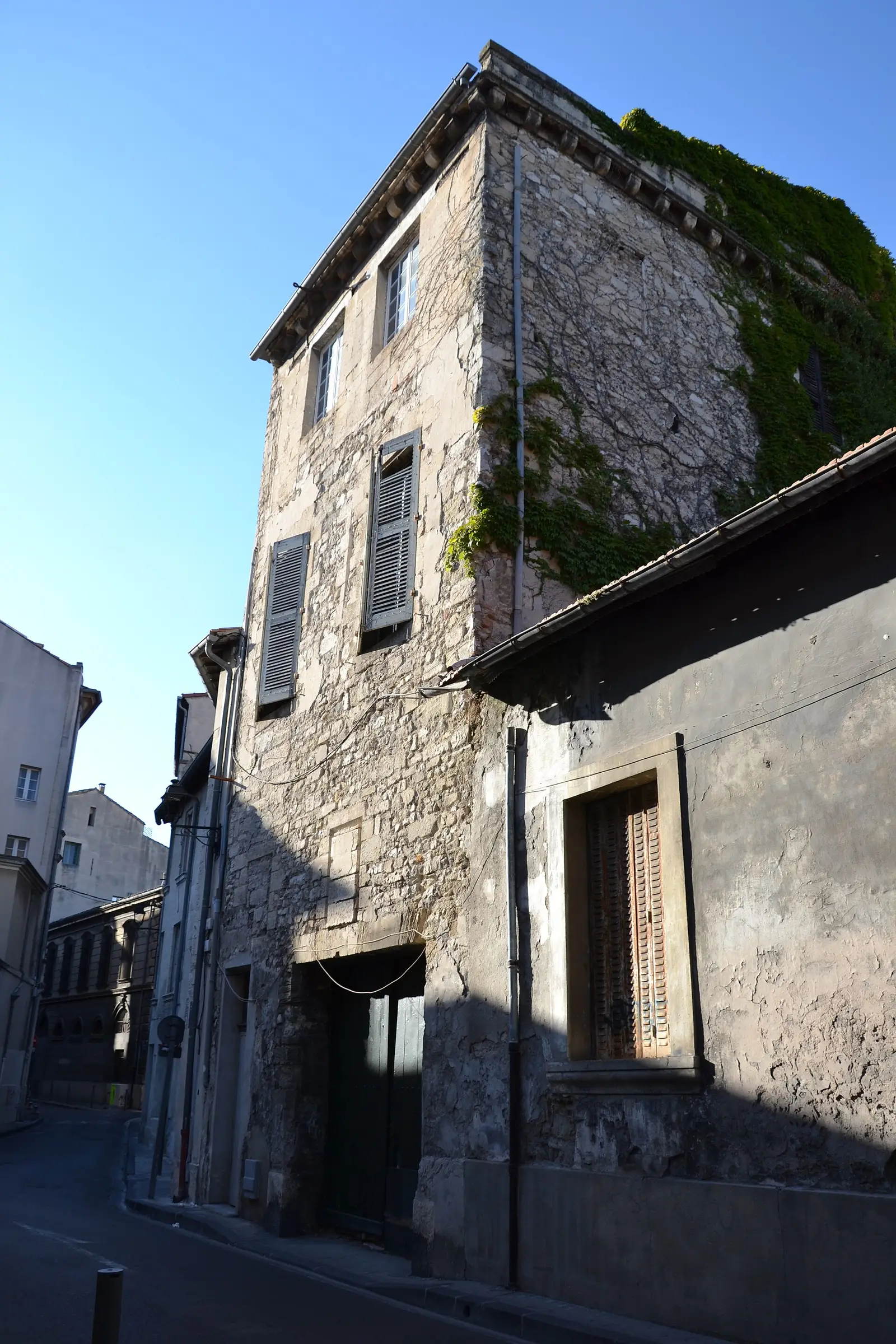 Stone building in Avignon’s old centre, grey shutters on a narrow ivy-clad street
