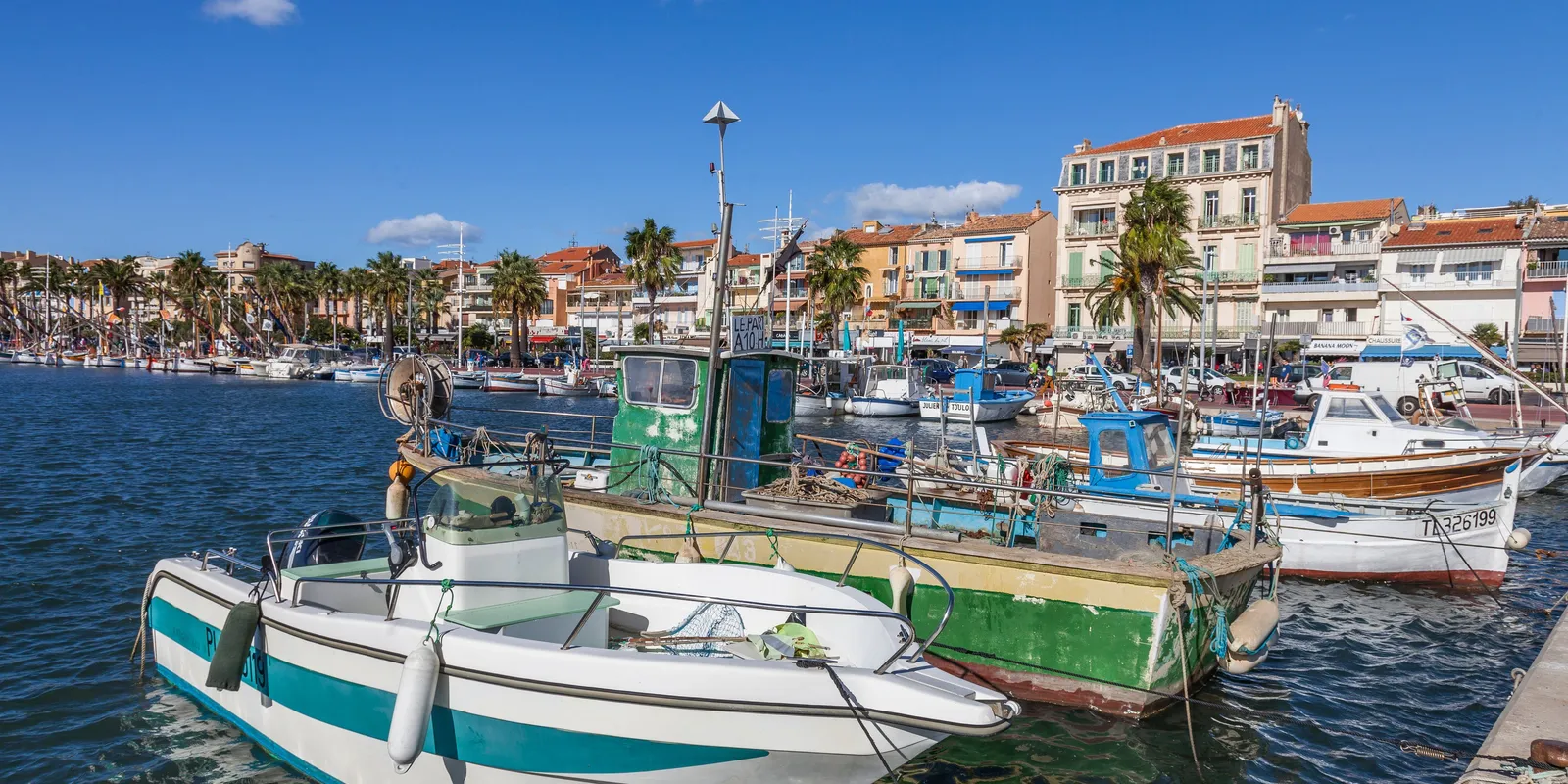 The harbour of Bandol, its traditional pointus and fishing boats in front of the façades and palm trees of the quay
