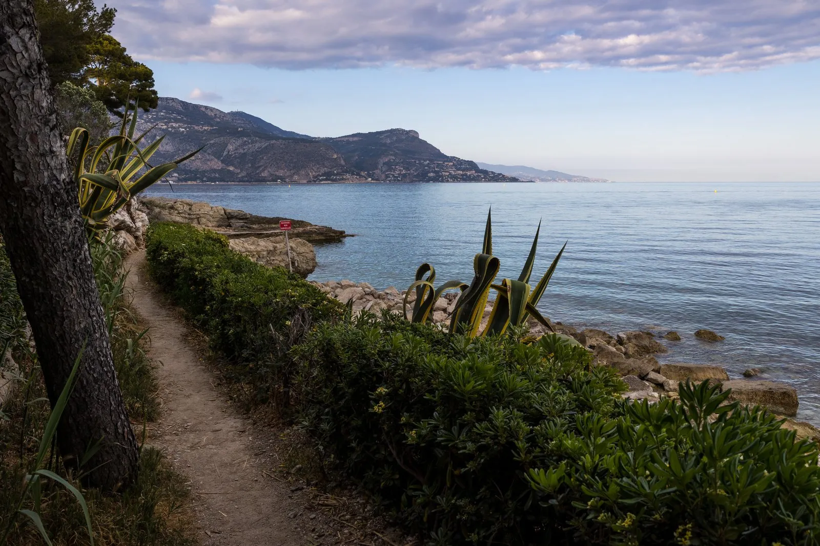 The coast from Beaulieu-sur-Mer to Cap-d’Ail, seen from the coastal path of the Pointe Saint-Hospice