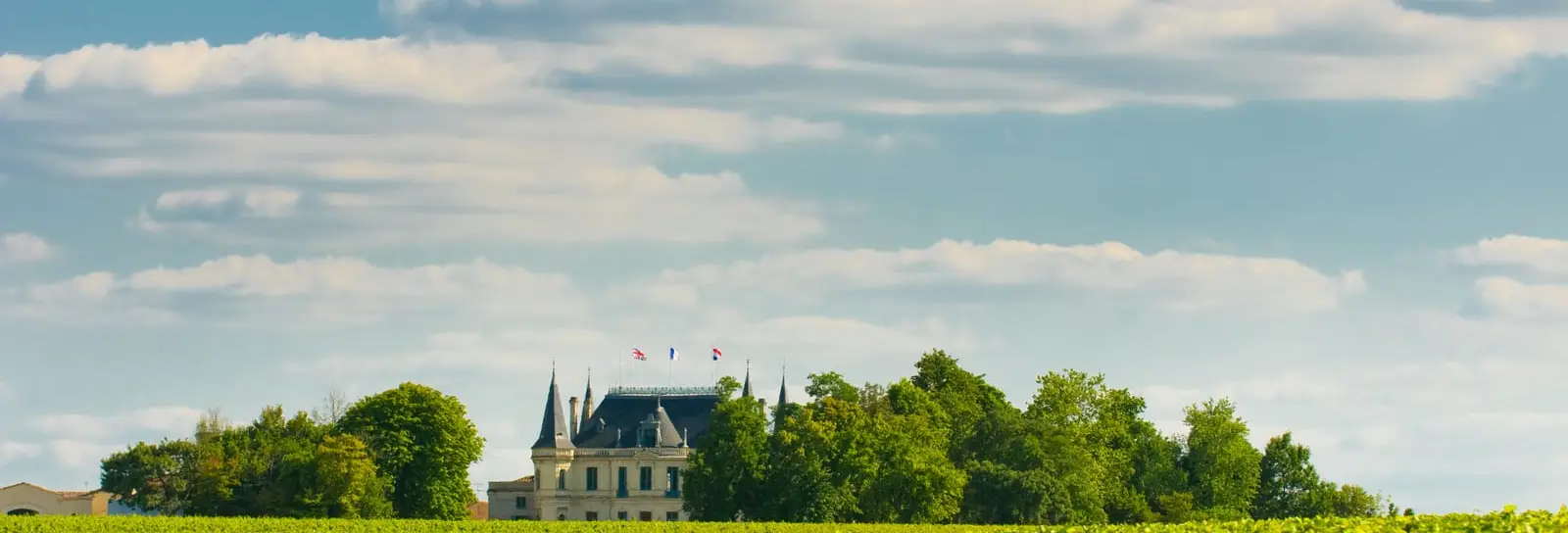 Un château viticole au milieu de ses vignes, dans le Bordelais