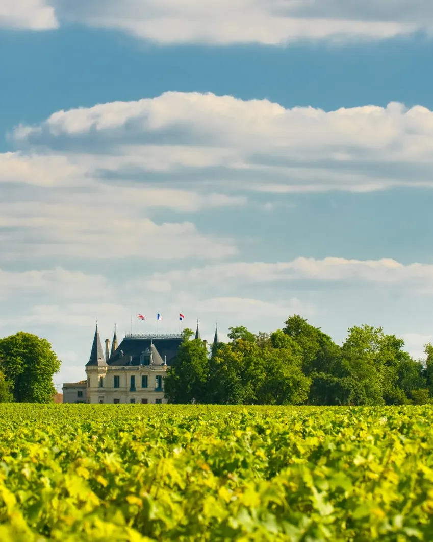 Un château viticole au milieu de ses vignes, dans le Bordelais