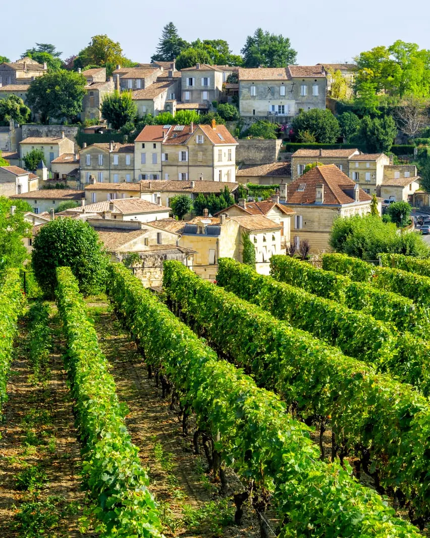 The village of Saint-Émilion above its vines