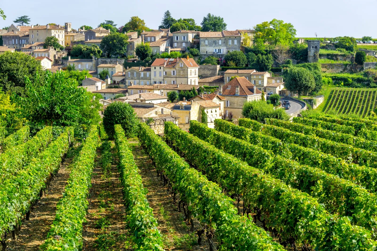 Le village de Saint-Émilion au-dessus de ses vignes
