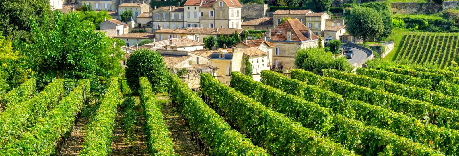 The village of Saint-Émilion above its vines
