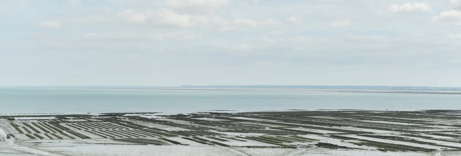 Les parcs à huîtres de Cancale découverts à marée basse, la baie jusqu’à l’horizon