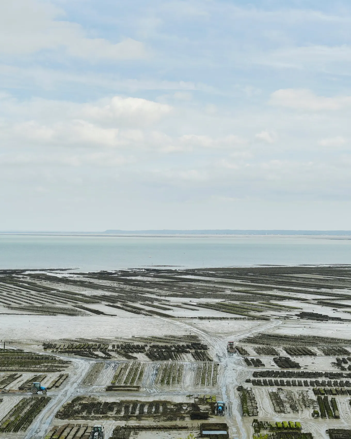 Les parcs à huîtres de Cancale découverts à marée basse, la baie jusqu’à l’horizon