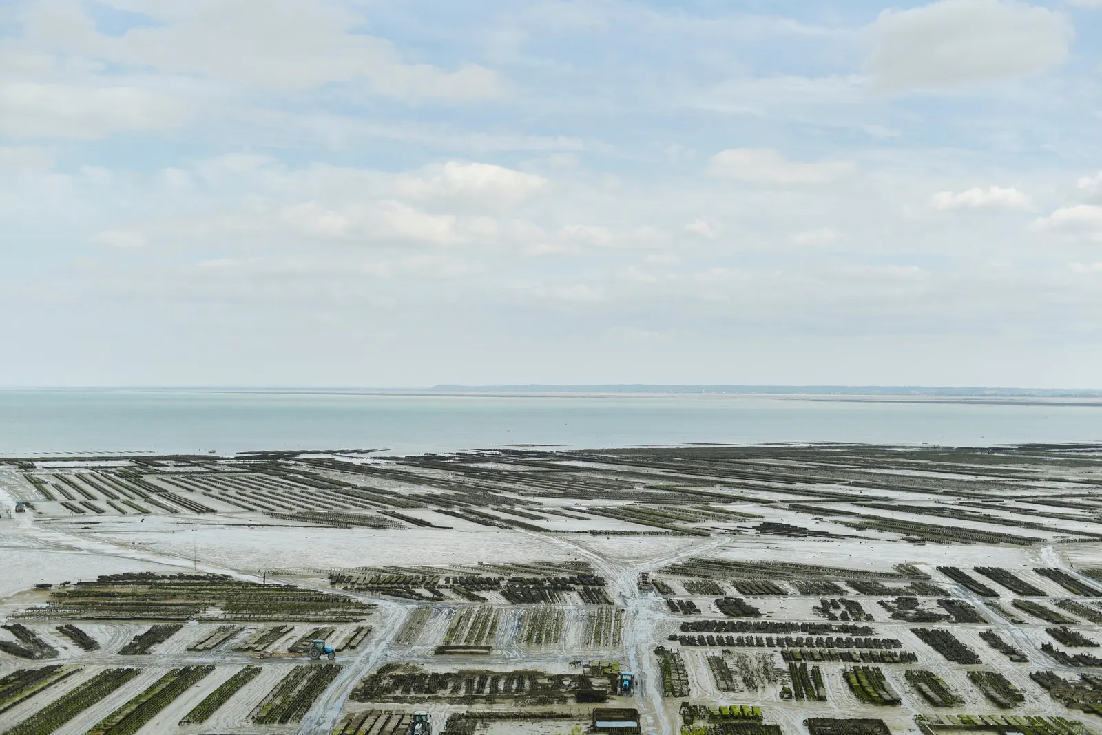 The Cancale oyster beds uncovered at low tide, the bay stretching to the horizon