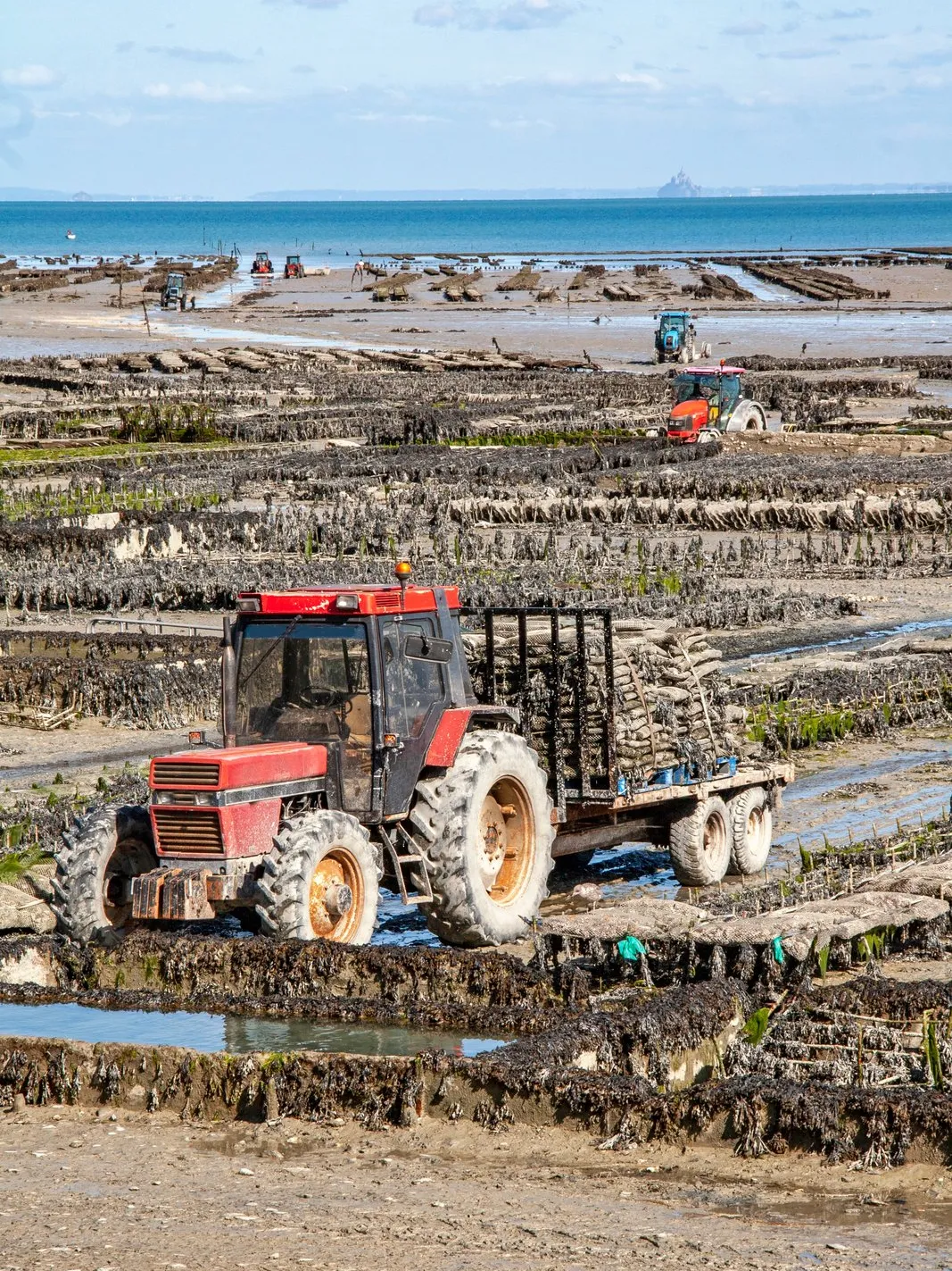 The oyster beds of Cancale at low tide, a tractor on the foreshore and the bay to the horizon