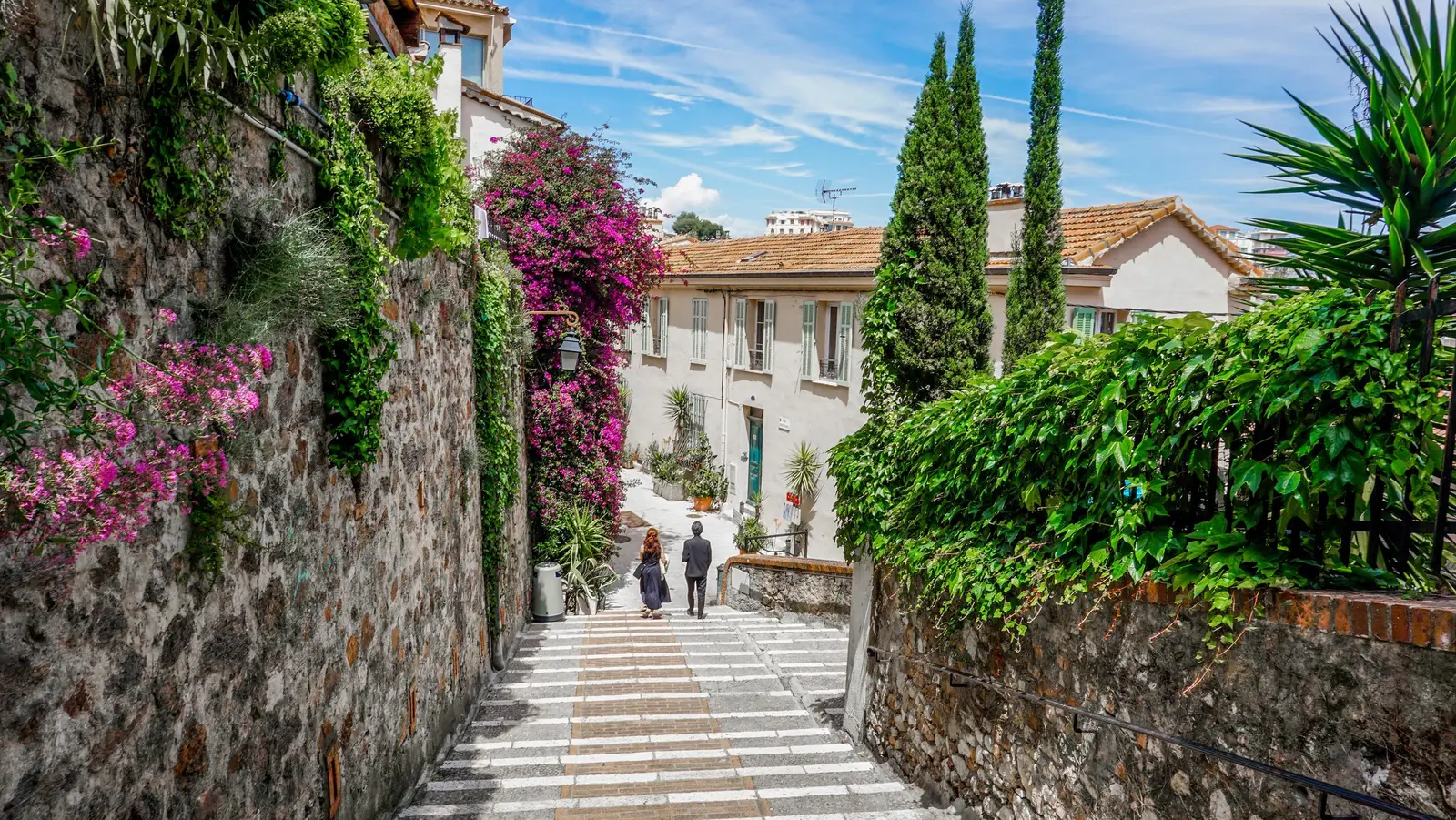 Une ruelle en escalier du Suquet à Cannes, murs de pierre, bougainvilliers et cyprès devant les maisons