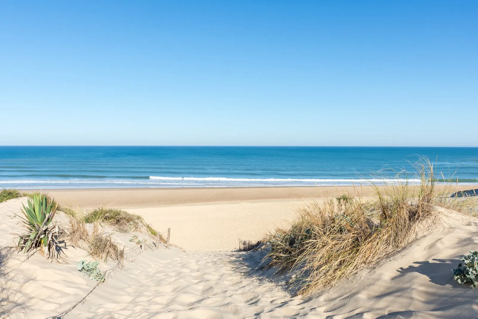 The ocean beach of La Torchère at Cap Ferret, between the dunes