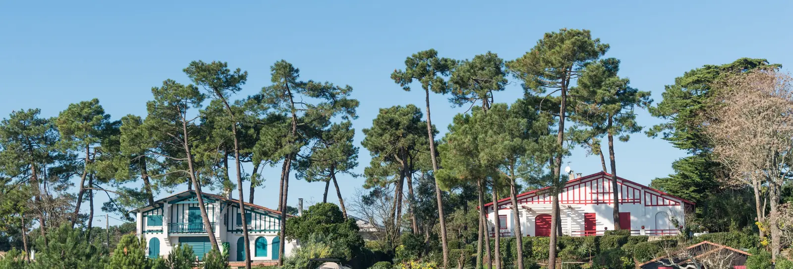 Deux villas du Cap Ferret sous les pins, vues du bassin d’Arcachon