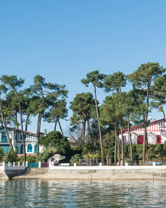 Two Cap Ferret villas under the pines, seen from Arcachon Bay