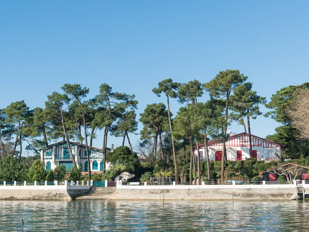 Deux villas du Cap Ferret sous les pins, vues du bassin d’Arcachon