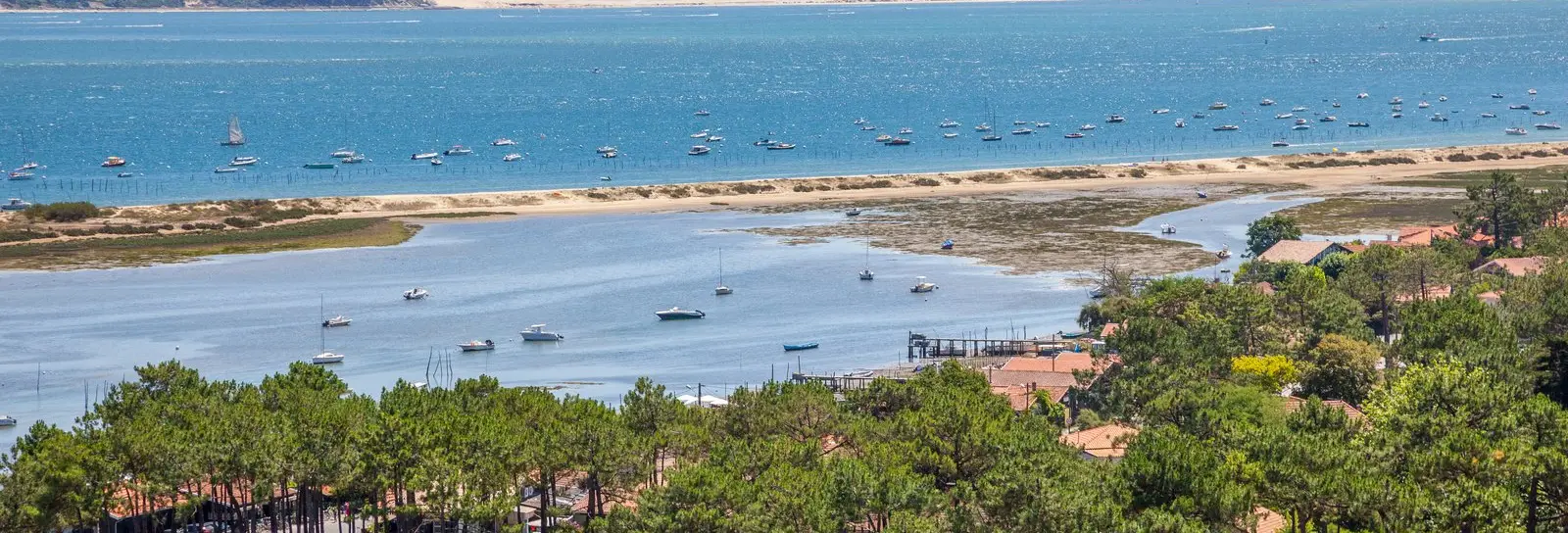 Le Cap Ferret vu d’en haut, ses toits sous les pins et la dune du Pilat en face