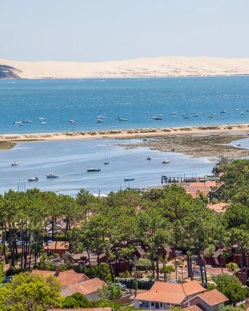 Le Cap Ferret vu d’en haut, ses toits sous les pins et la dune du Pilat en face