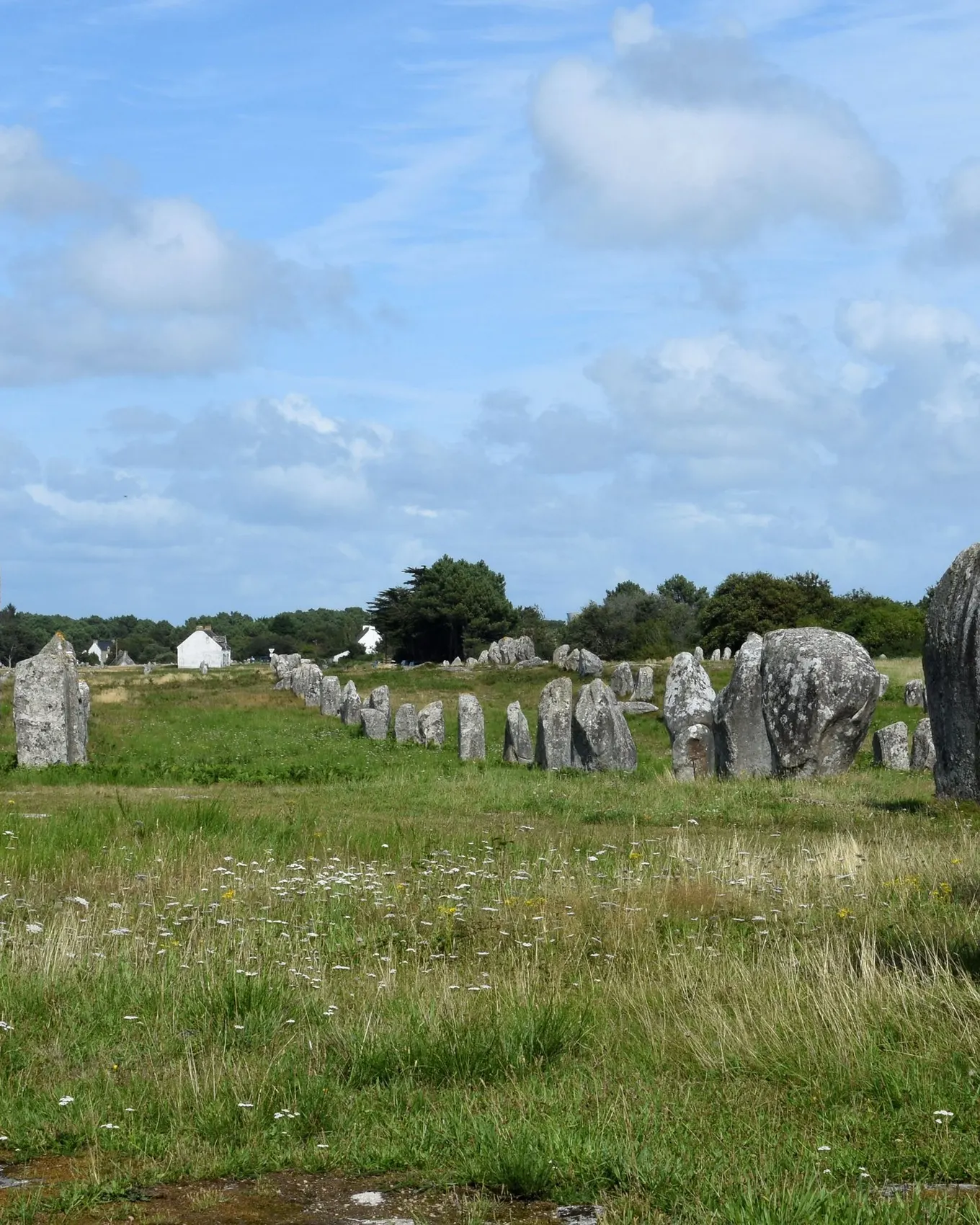 A tall menhir of the Ménec alignment and the rows of standing stones across the meadow