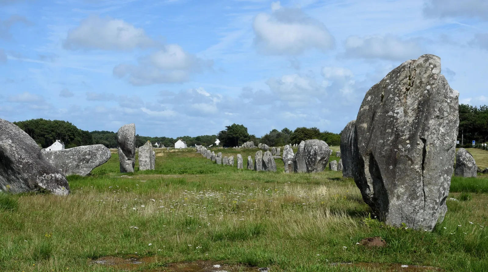 A tall menhir of the Ménec alignment and the rows of standing stones across the meadow