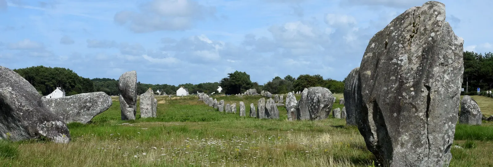 A tall menhir of the Ménec alignment and the rows of standing stones across the meadow