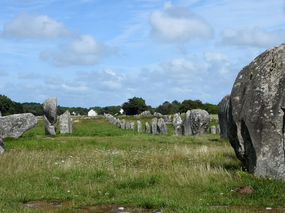 Un grand menhir de l’alignement du Ménec et les files de pierres dressées dans la prairie