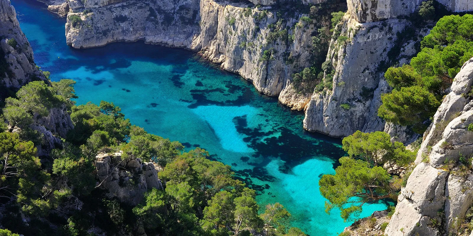 The En-Vau calanque seen from above, between cliffs and pines