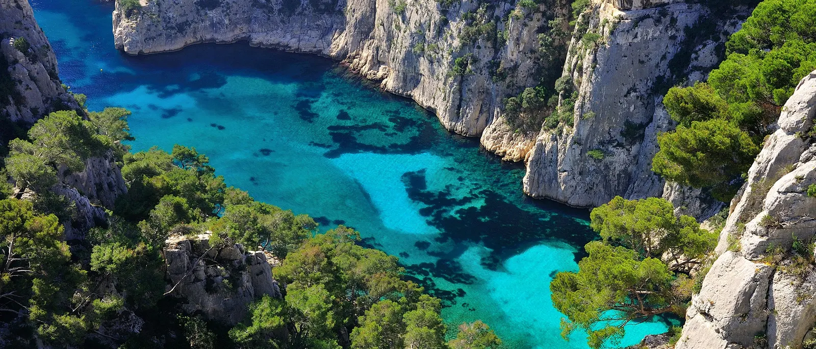 A calanque de En-Vau vista de cima, entre falésias e pinheiros