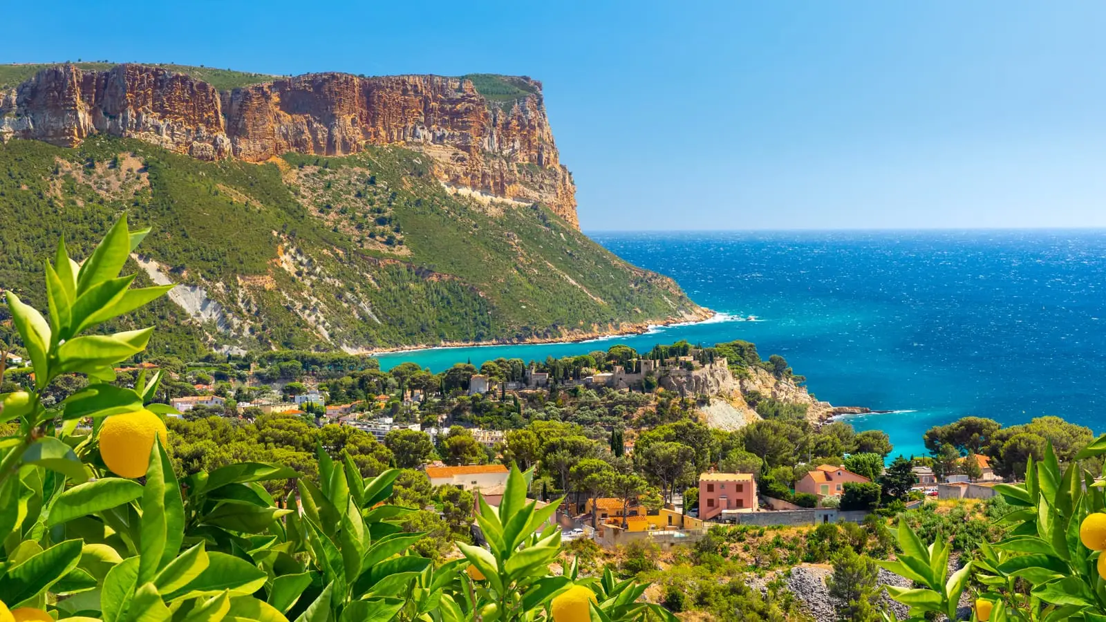 Le cap Canaille au-dessus de la mer et des maisons de Cassis, un citronnier au premier plan