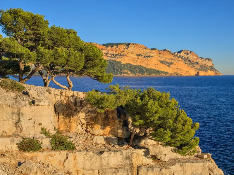 Cap Canaille seen from the Cassis calanques, under the pines