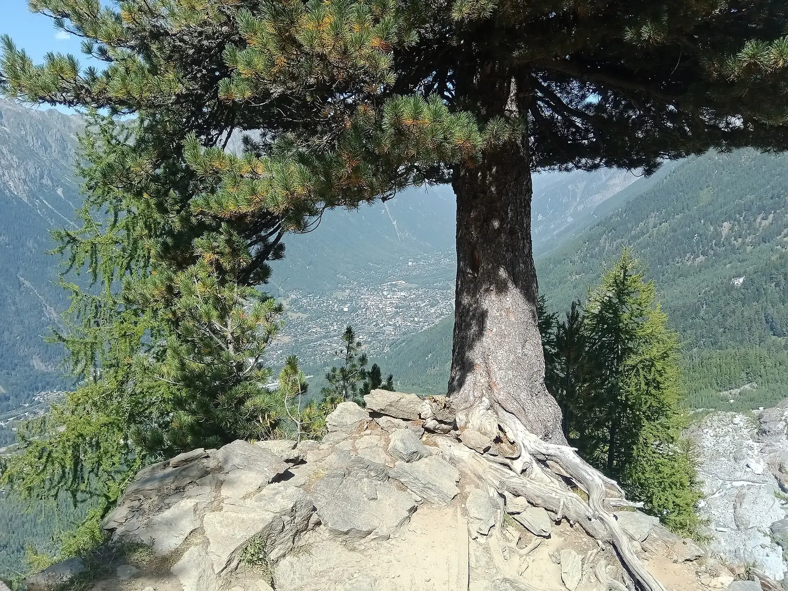 The Chamonix valley and its village of pale houses, seen from a rocky viewpoint