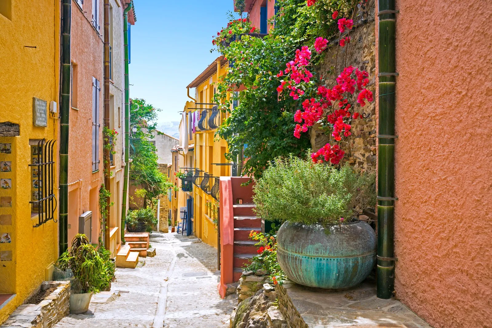 Une ruelle de Collioure aux façades ocre et roses, fleurie de bougainvilliers
