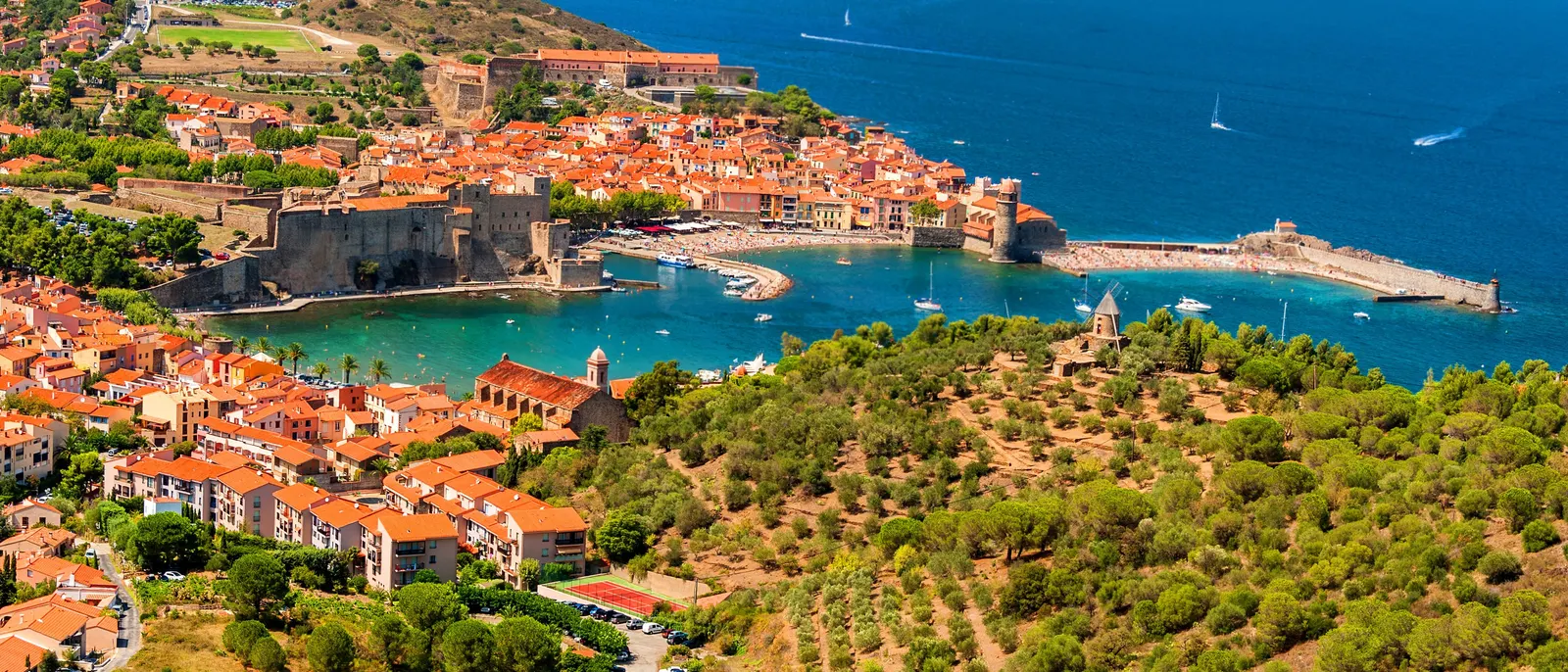 Collioure vue des hauteurs, son château royal, sa baie et les vignes