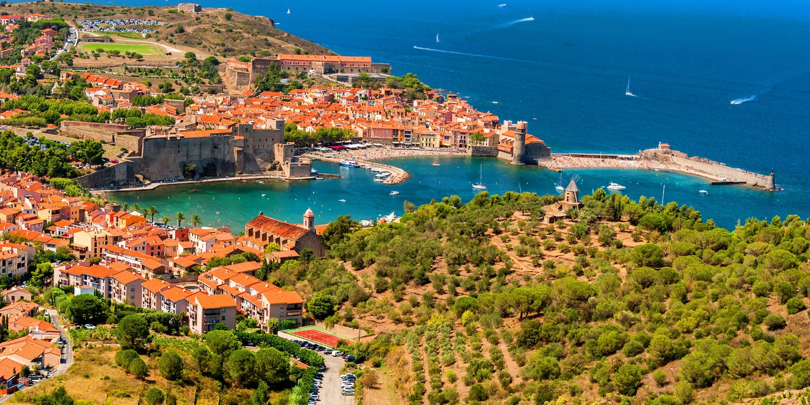 Collioure vue des hauteurs, son château royal, sa baie et les vignes