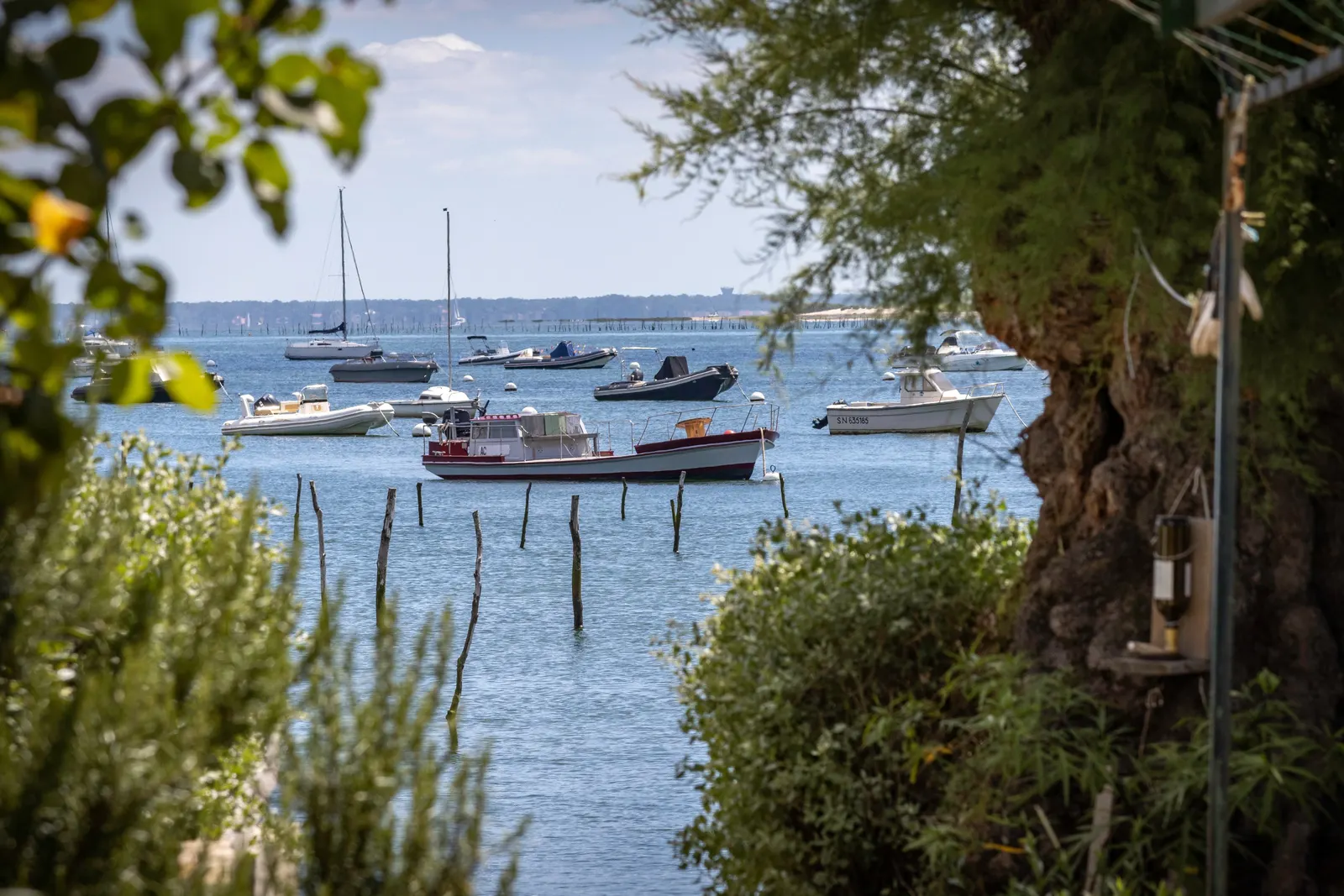 Bateaux au mouillage sur le bassin d’Arcachon, vus de la rive