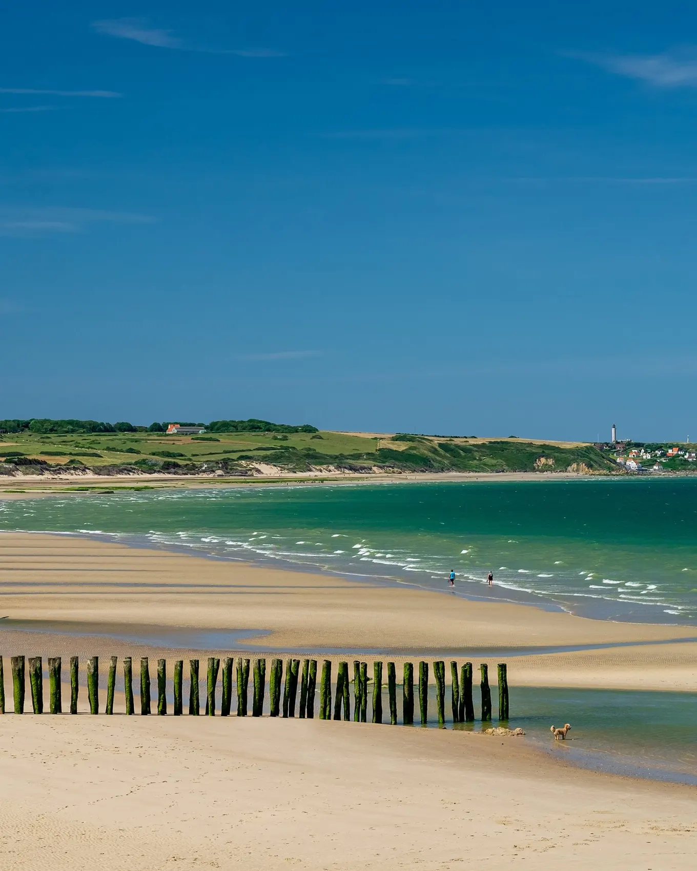 La plage de Wissant et ses bouchots, face au cap Gris-Nez