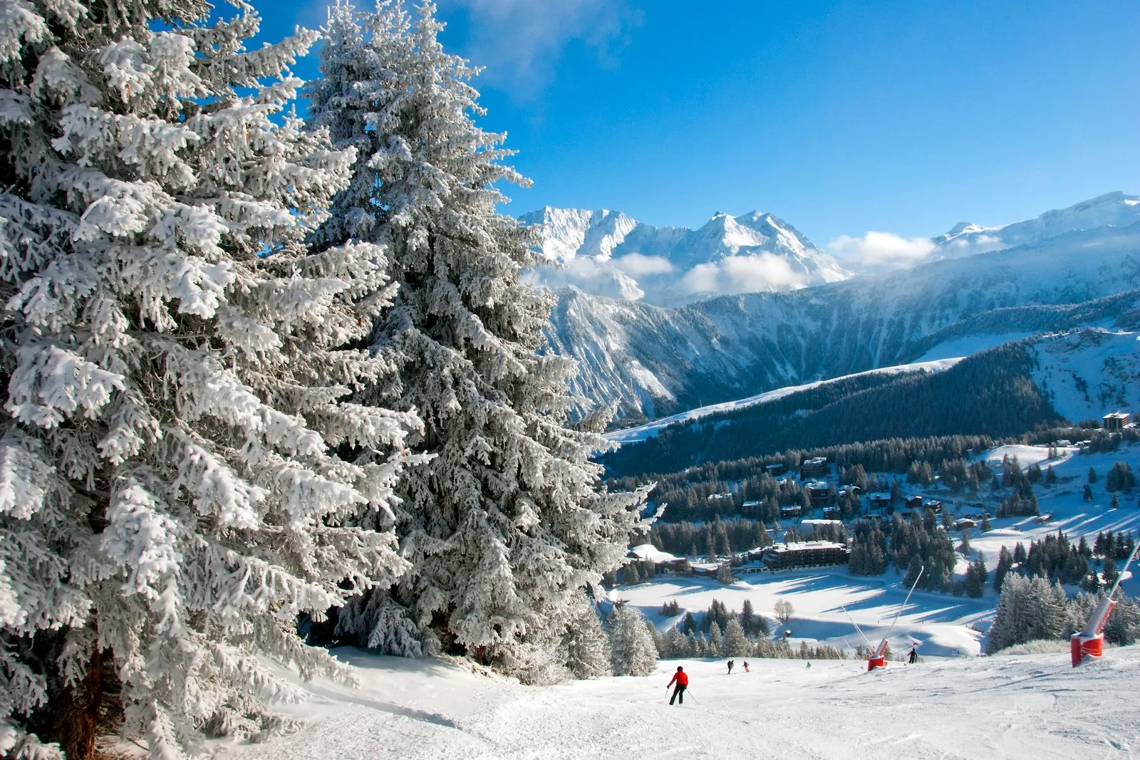 Les sapins givrés au-dessus du village de Courchevel