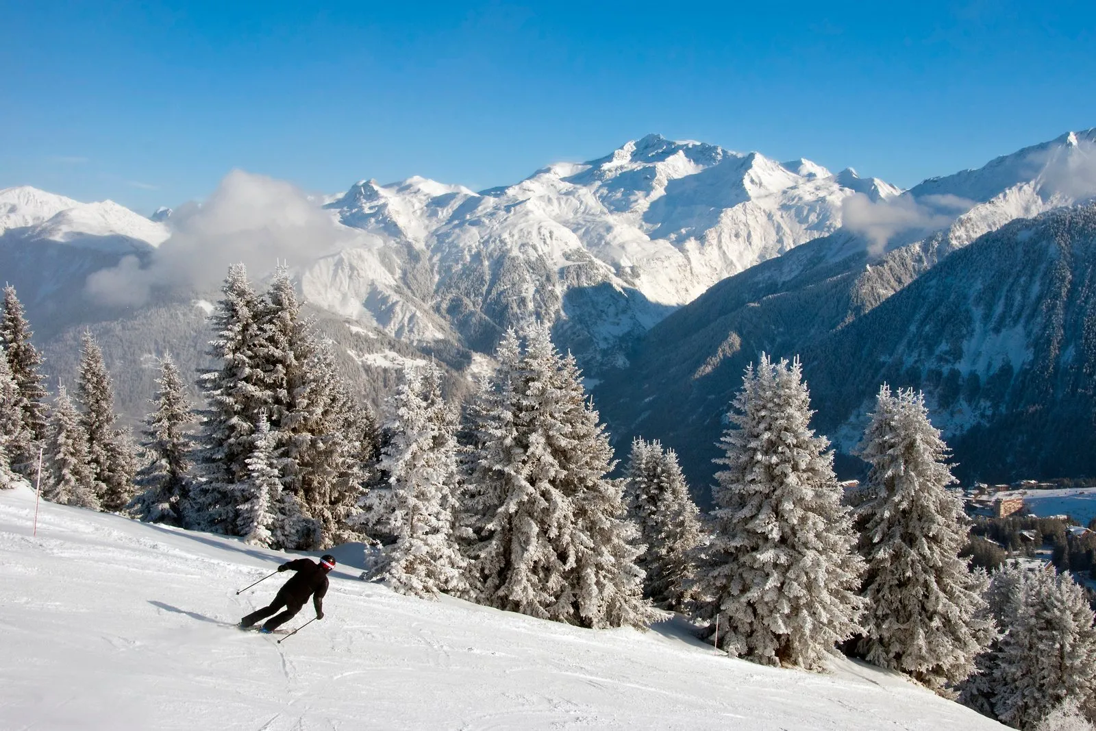 Un skieur sur une piste de Courchevel, entre les sapins enneigés