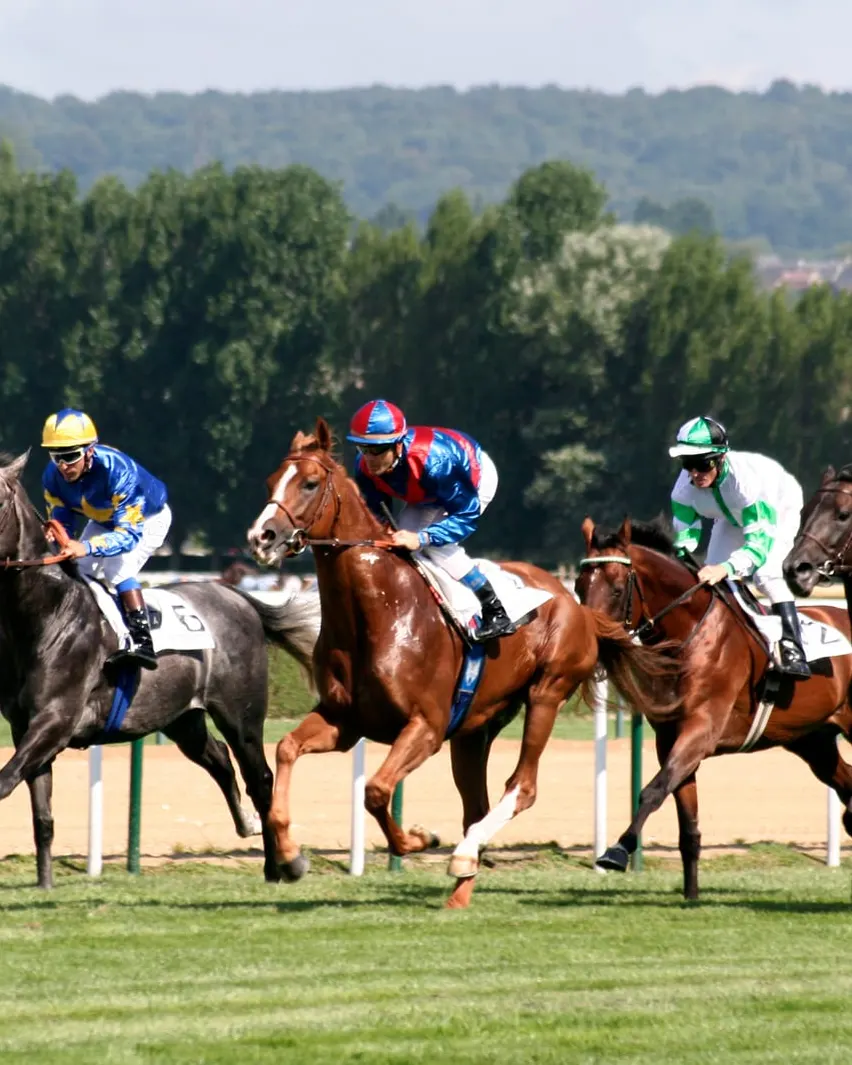 Les chevaux au galop sur la piste de l’hippodrome