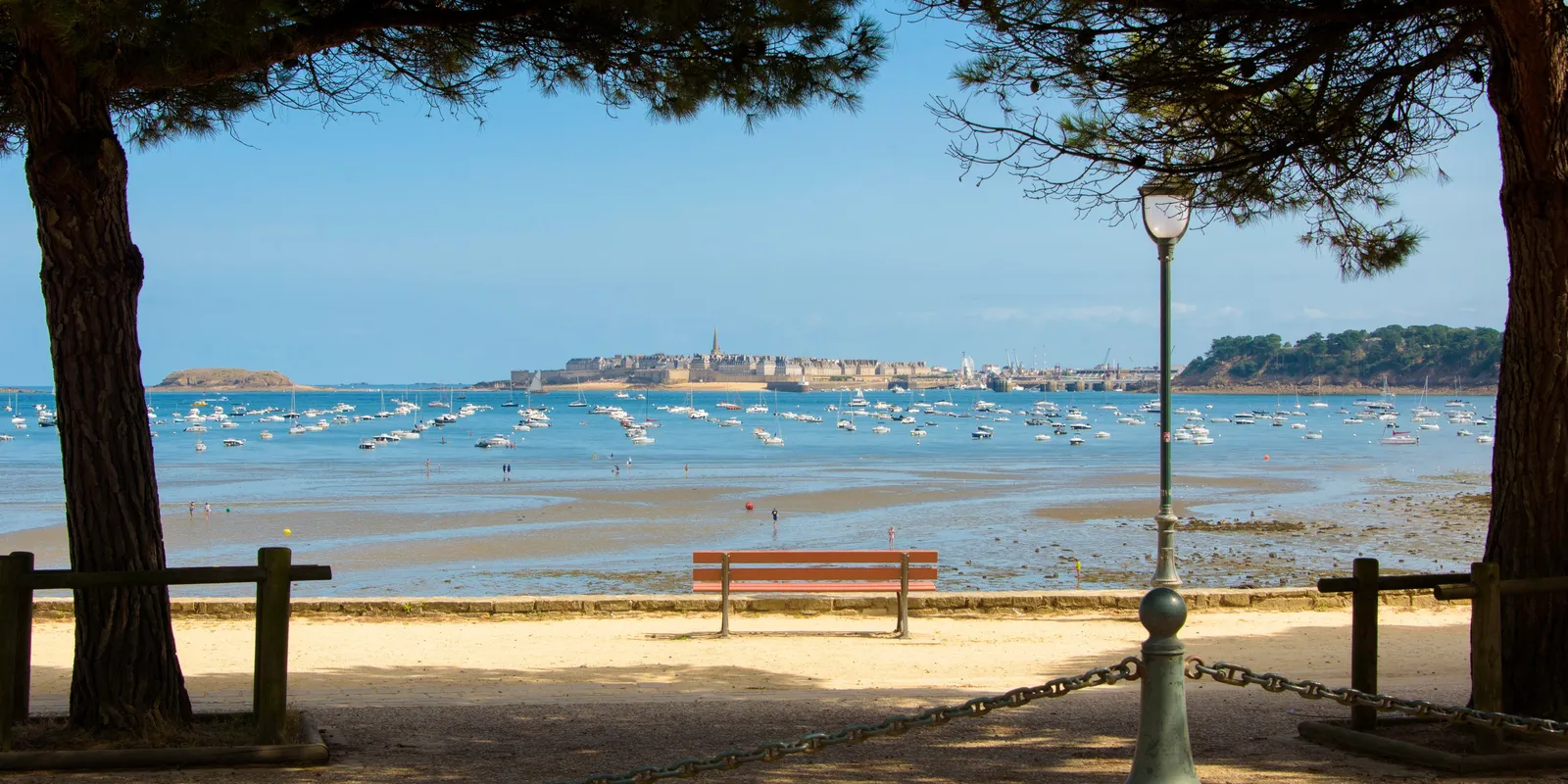 Um passeio sob os pinheiros, barcos fundeados e a cidade murada de Saint-Malo em frente