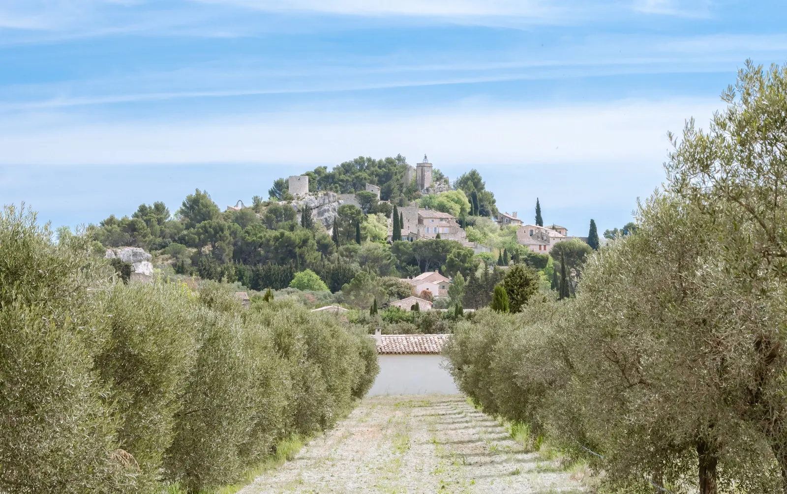 The hilltop village of Eygalières seen from an olive grove, in the Alpilles