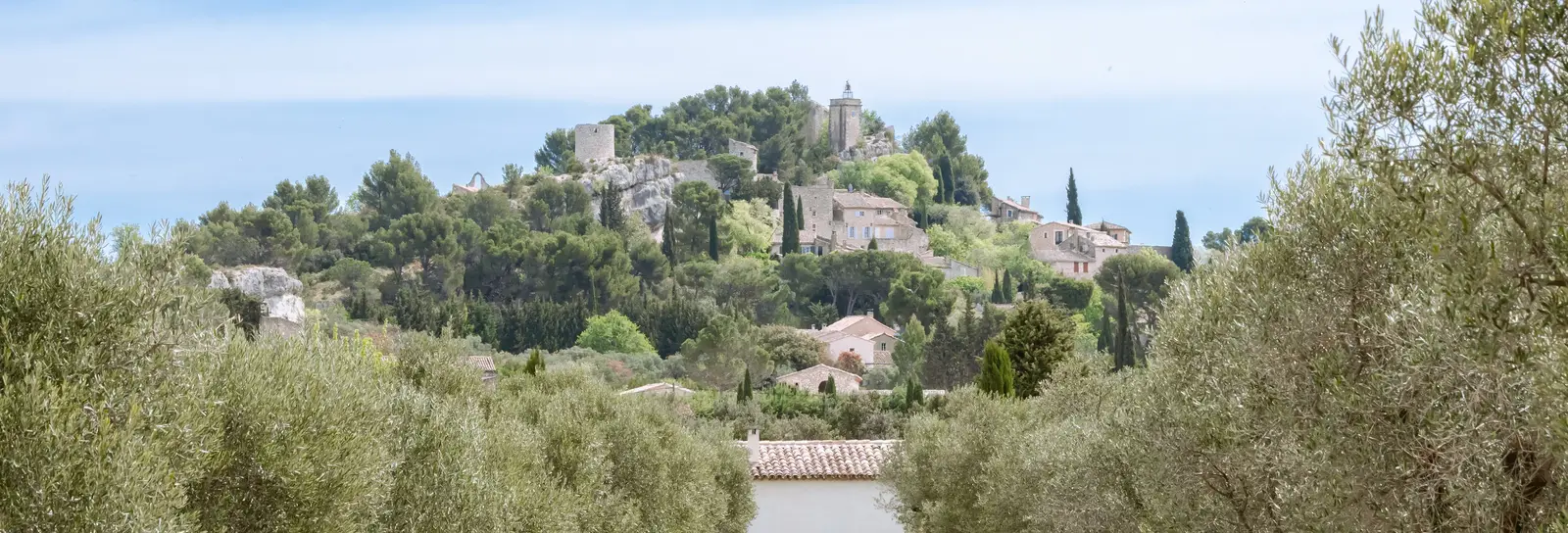 The hilltop village of Eygalières seen from an olive grove, in the Alpilles
