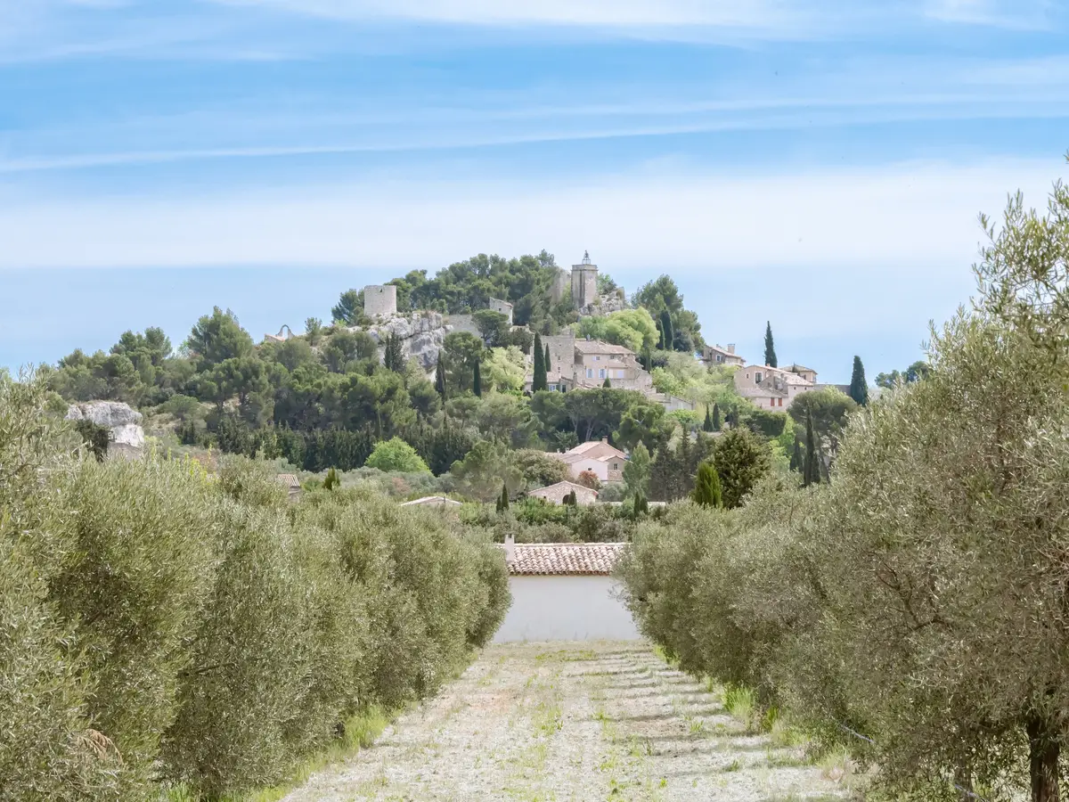 Le village perché d’Eygalières vu d’une oliveraie, dans les Alpilles