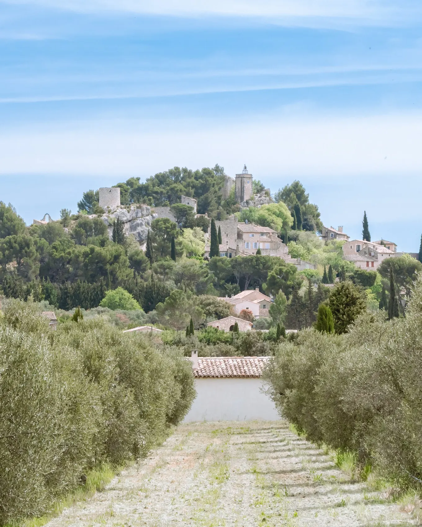 The hilltop village of Eygalières seen from an olive grove, in the Alpilles